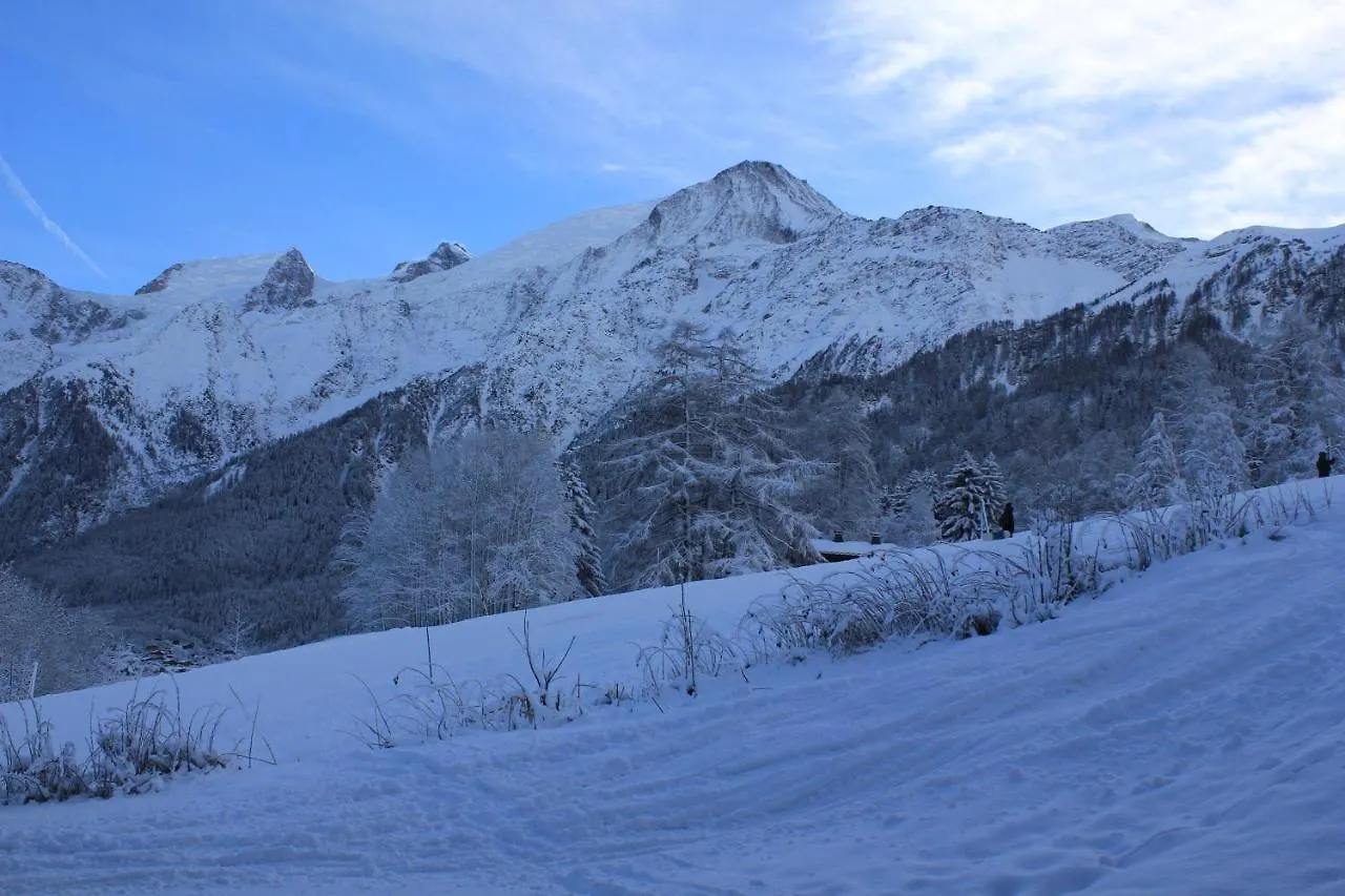 Apartment Appartement Chaleureux Les Houches 29 M² Piscine Partagee