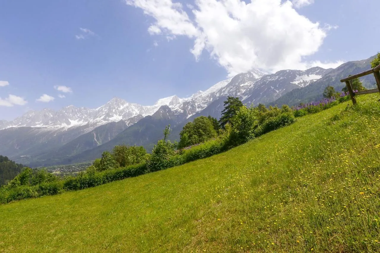 Appartamento Appartement Chaleureux Les Houches 29 M² Piscine Partagee Francia